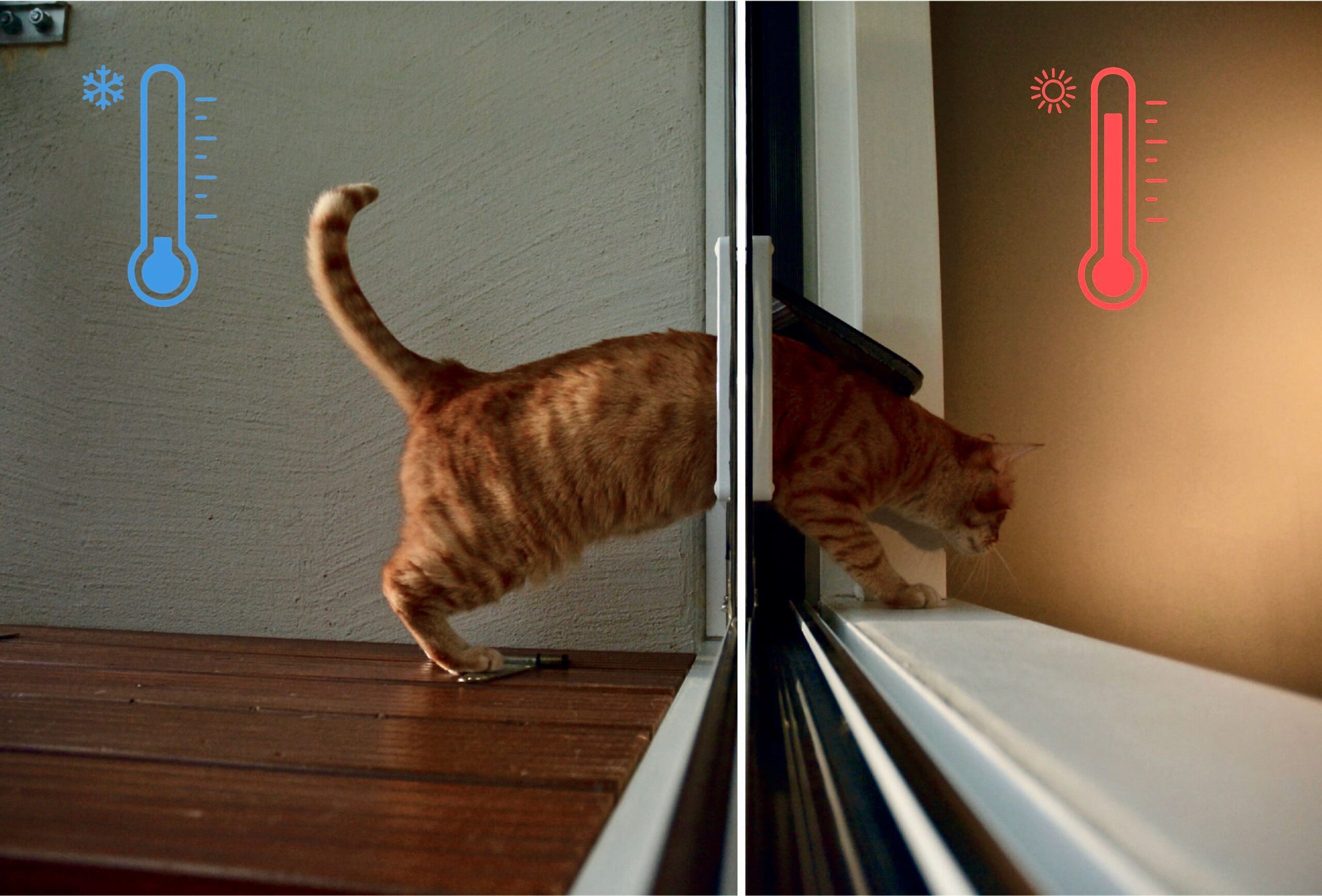 Isolation optimale avec le chat le coulissant